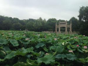 飞英公园