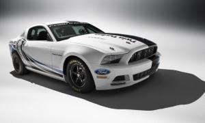 Mustang图册
