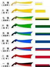 跆拳道等级