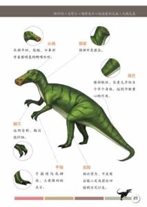 盐海龙
