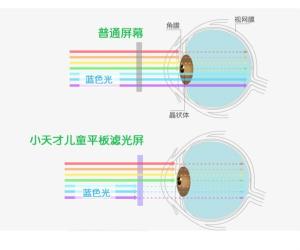 护眼原理