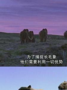 与古兽同行