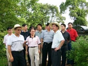 演陂镇