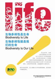 国际生物多样性年宣传海报