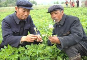田家河乡 田家河乡