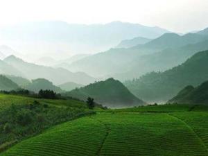 四明山（浙江四明山）