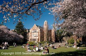 华盛顿大学文学院