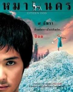 大狗民 搜狗百科