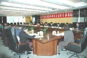 会计报表审计会议