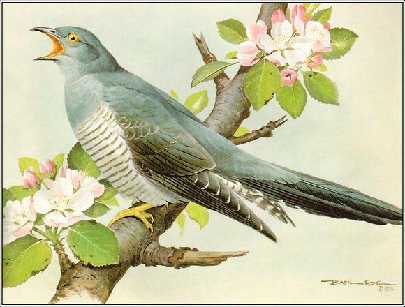 蜀是哪个省的别称 0