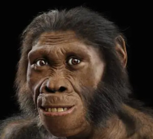 古代猿人生活照片图片