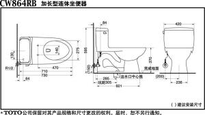 卫洗丽