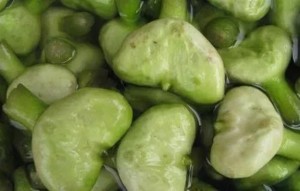 南湖菱