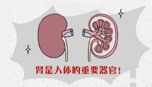 补肾