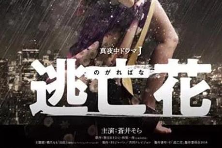 逃亡花 18年苍井空 永泽俊矢主演的电视剧 搜狗百科