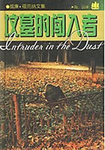 其他版本的《坟墓的闯入者》