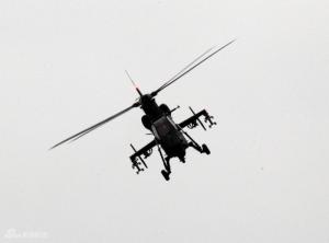 武直-19