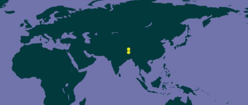 西藏棕熊分布图