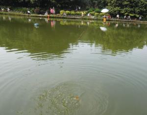 四海公园