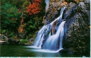 龙潭国家森林公园