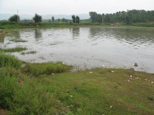 上游水库