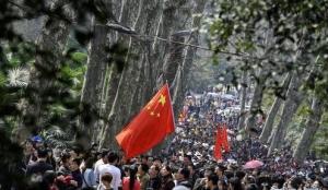 武大赏樱花