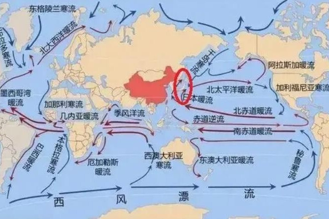 日本暖流(科学百科环境生态分类)_搜狗百科