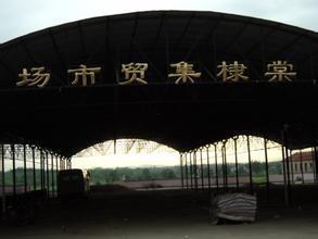 棠棣集贸市场