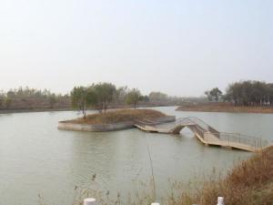 沱湖乡