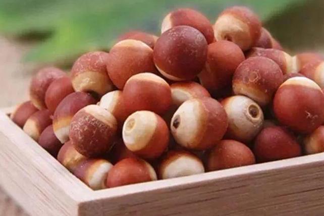 芡实(草药)—搜狗百科