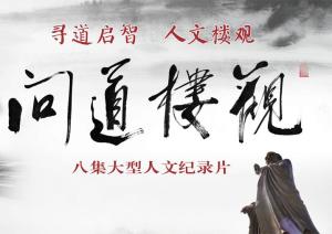 发行纪录片