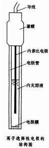 离子选择性电极