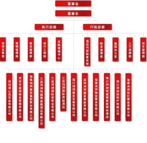 鸿洲集团组织架构