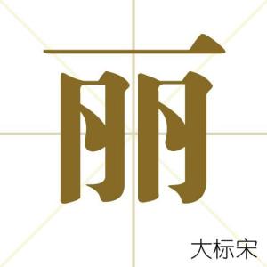 丽 搜狗百科 丽 搜狗百科