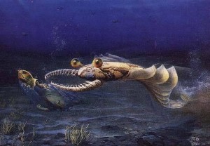 奇虾的猎食景观 奇虾的猎食景观