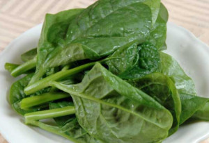 木耳菜