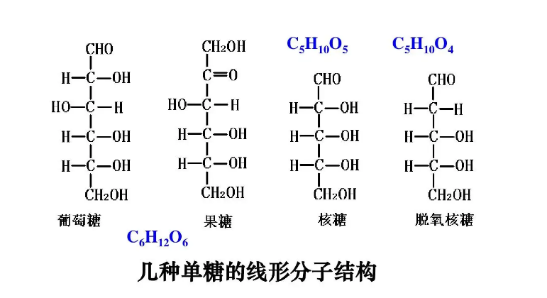 芸香糖的结构式图片