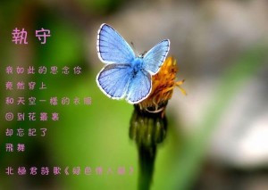 执守