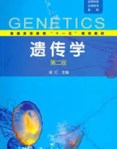 主干课程