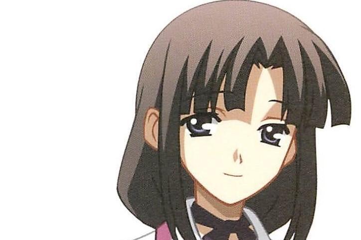 西园寺踊子 游戏 School Days 及其衍生作品的角色 搜狗百科