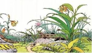 草虫的村落