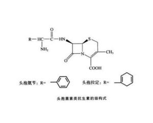 头孢菌素结构式图片