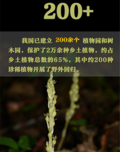 植物保护