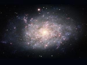 本星系群