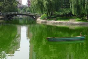 团结湖公园景点