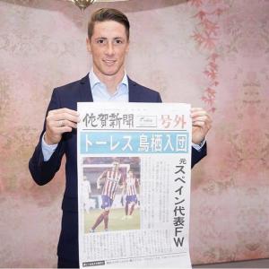 托雷斯加盟鸟栖砂岩