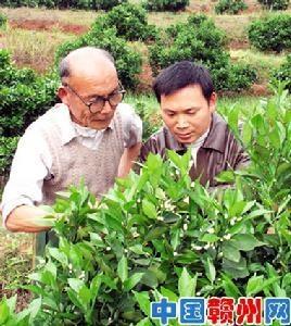 茅店镇