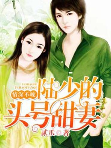 情深不浅短剧免费观看，情感与生活的交织，情深不浅短剧免费观看，情感与生活的交织之旅