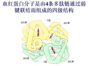 是否贫血看哪个指标 300