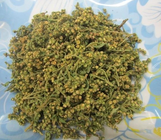 赶黄草